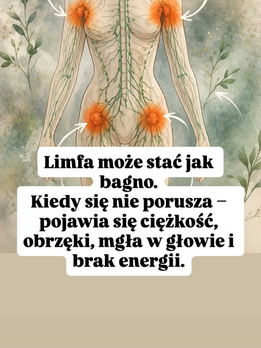 Aloes miąż aloesowy