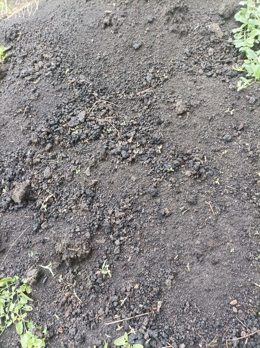 Чорнозем з доставкою