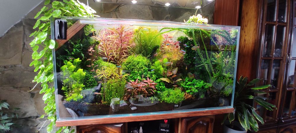 Reaktor CO2 do akwarium