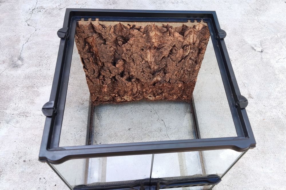 Террариум exo Terra  30-30-30см, для паука птицееда, фрина, птахоїд