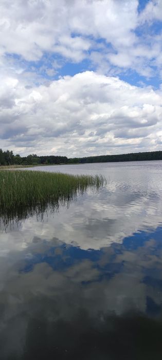 Sprzedam działkę w Dymaczewie Nowym - Widok 6