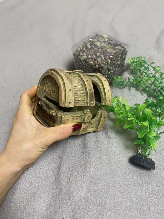 Скриня водорості і камінці для акваріума