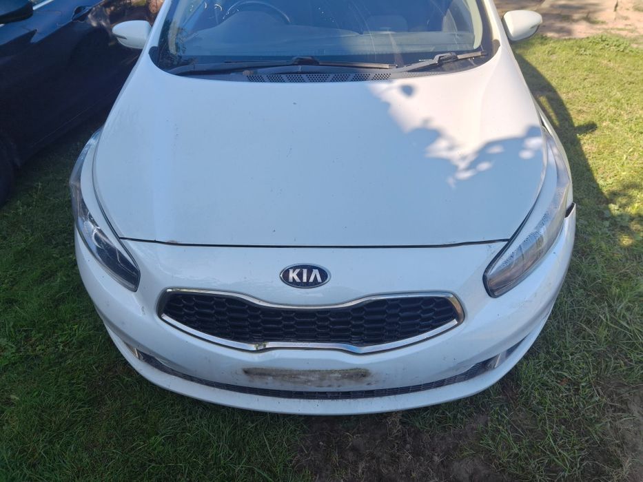 Kia ceed II Jd silnik 1.6 crdi Skrzynia  części maska zderzak drzwi fotel klapa  Kolor  WD