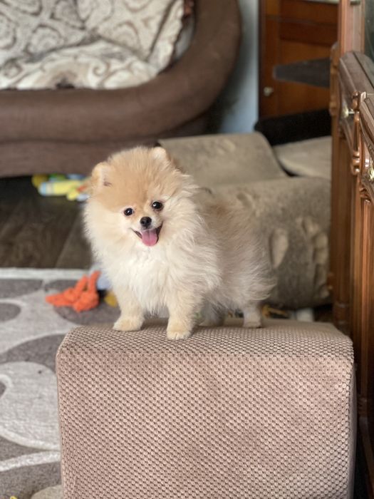 Дівчатка VIP,чекають на вас