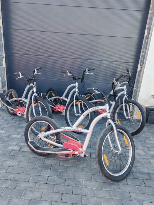 Batavus Bike Stepper 4szt