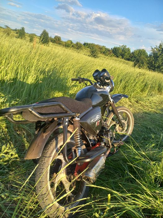 Альфа мустанг 125