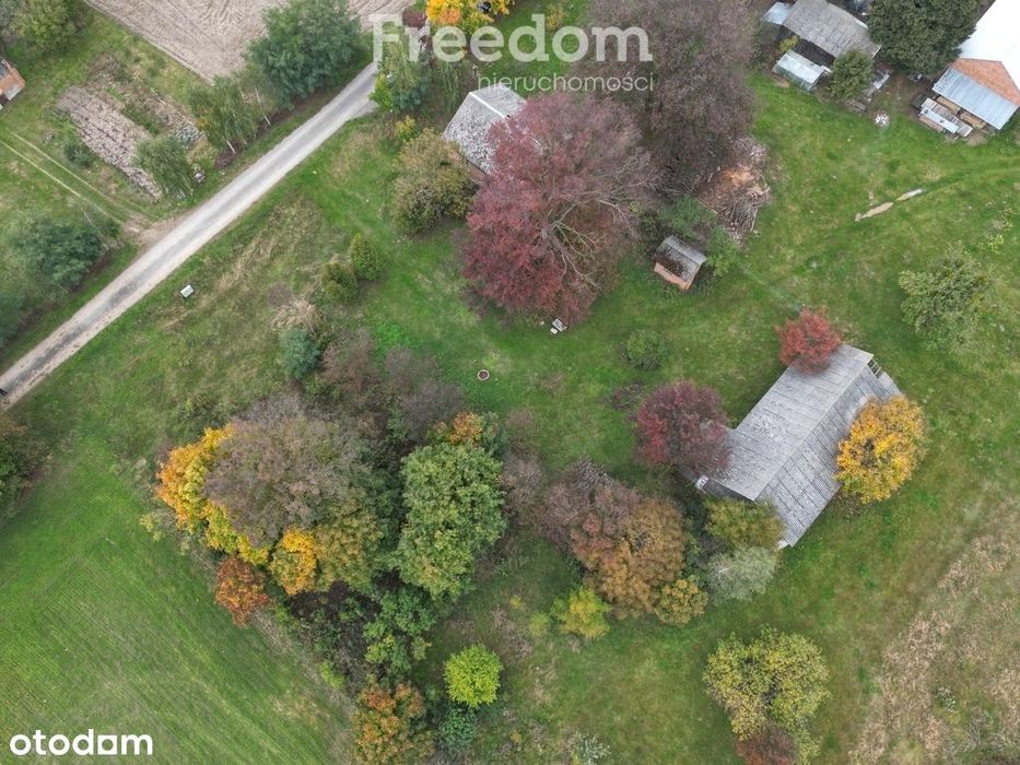 Śniadówka – piękne siedlisko do adaptacji