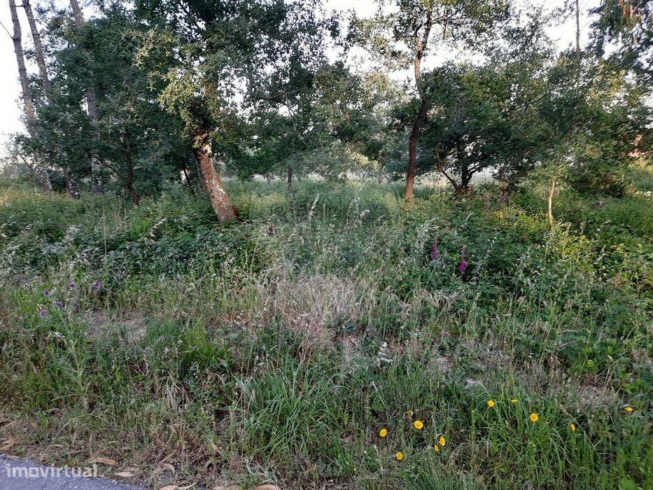 Terreno  para venda — Santiago E São Simão De Litém E Albergaria Dos Doze, Leiria
