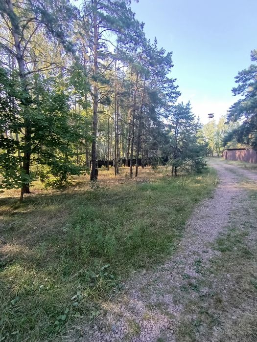 Продаж земельної ділянки с. Пилява