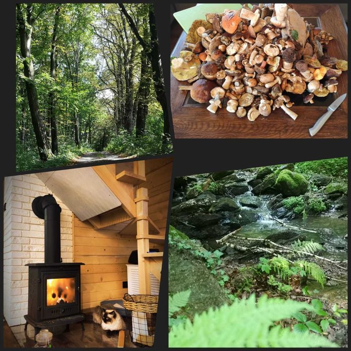 Domek całoroczny nad jeziorem ok. Świeradów Zdrój