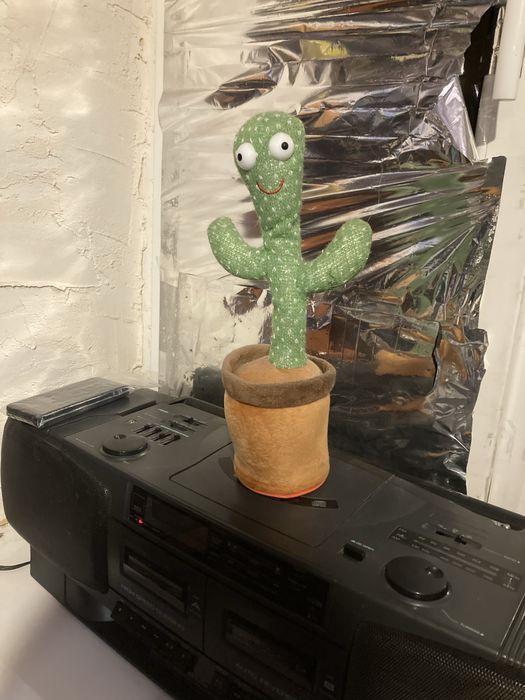 Той самий мемний кактус із тік-тока.