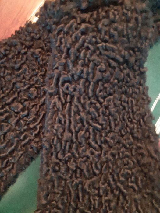 Gola em pele de Astrakan genuína forrada a seda.