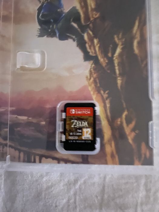 gra na nintendo switch zelda