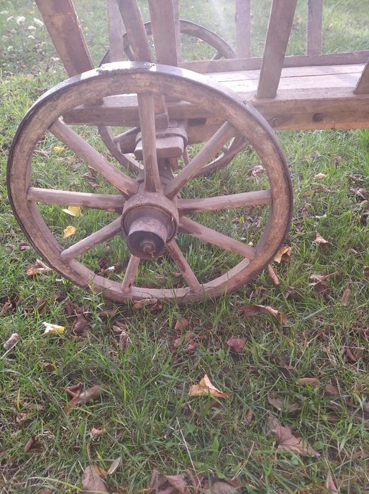 Віз/візок (старовинний)