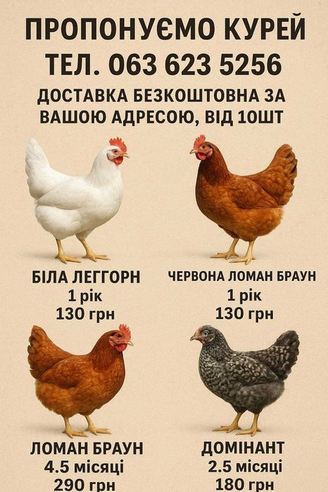 кури несушки ! безкоштовна доставка