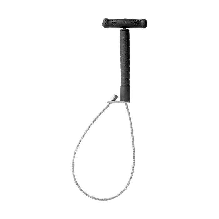 Pętla do prowadzenia knura