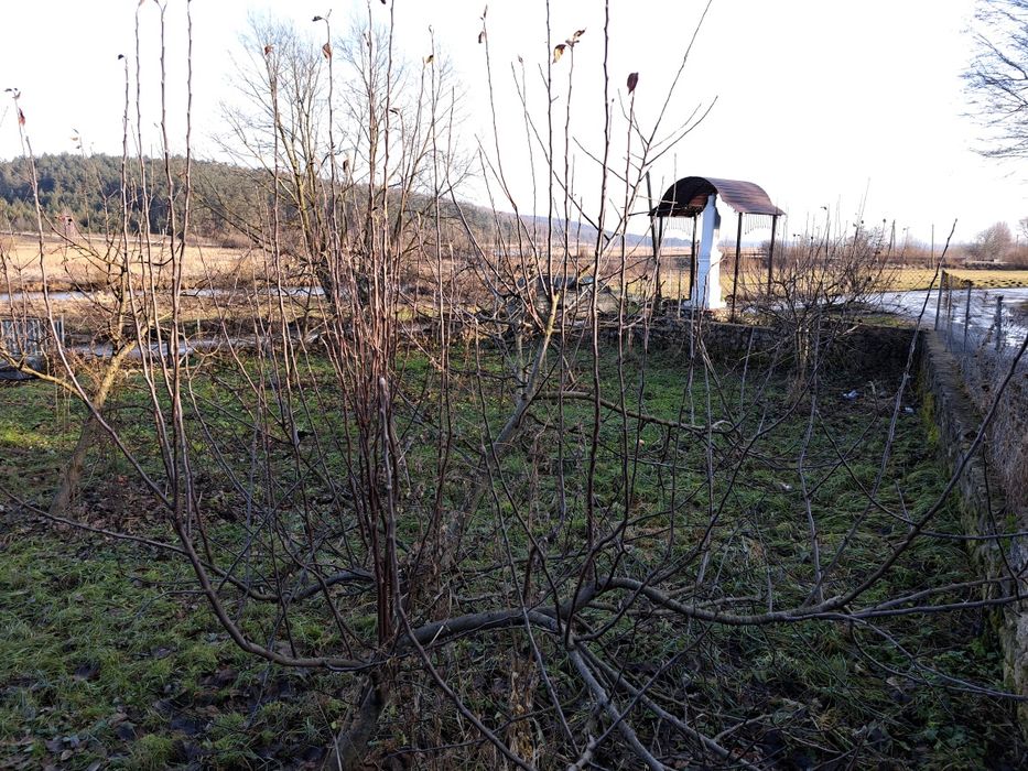 Глиняна хата та господарські будівлі, земельна ділянка під забудову