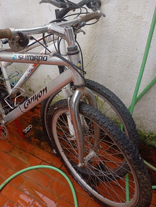 Bicicletas de adulto e jovem