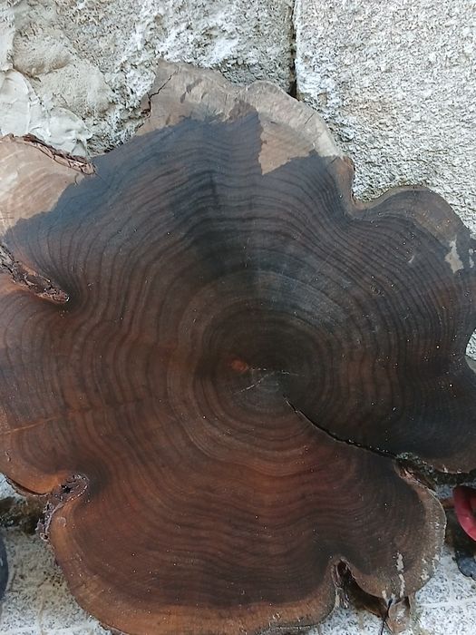 Rodela de Austrália