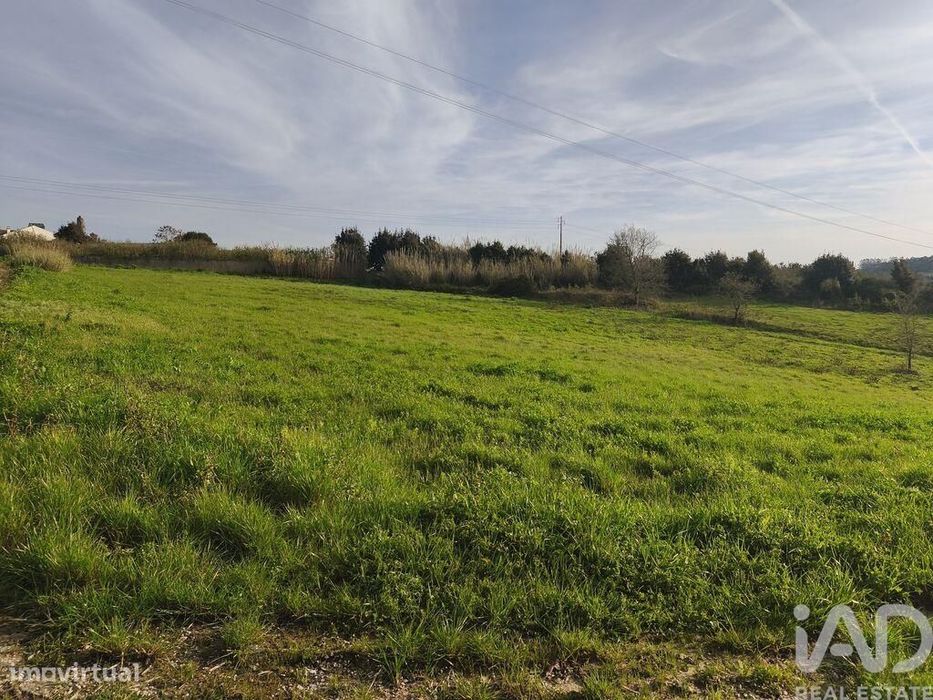 Terreno Agrícola em Cela
