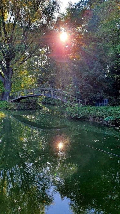 Будинок, 150сот. власне озеро с.Здорівка Васильківський  Київська обл.