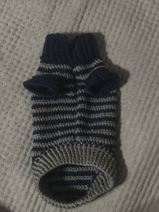 Вʼязаний одяг для чихуа чи інших маленьких собак