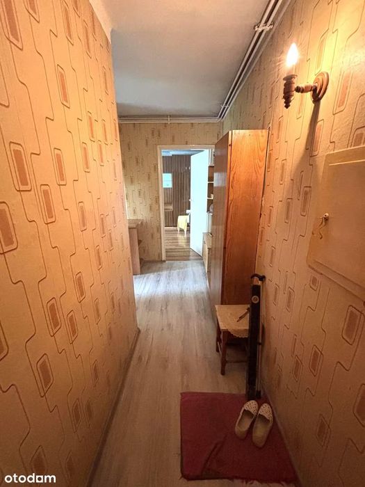 Ruda Śląska Orzegów ul. Królowej Jadwigi⭐ 52 m2 // 2 pok + kuchnia !