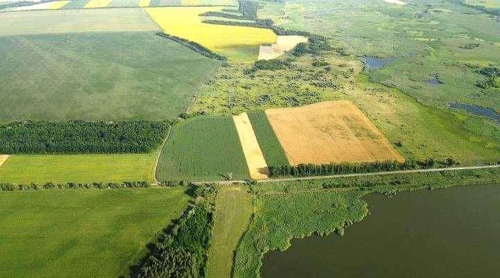 Продам  1,5 га земли