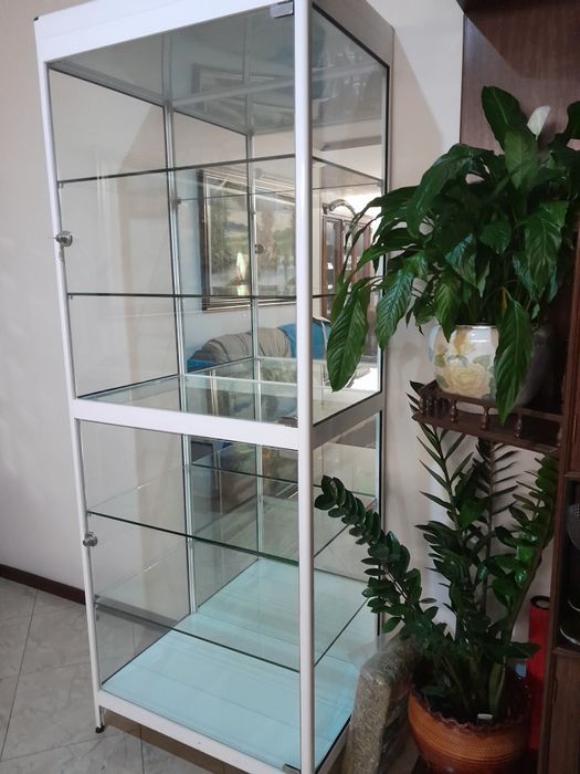 Vendo vitrine com portas