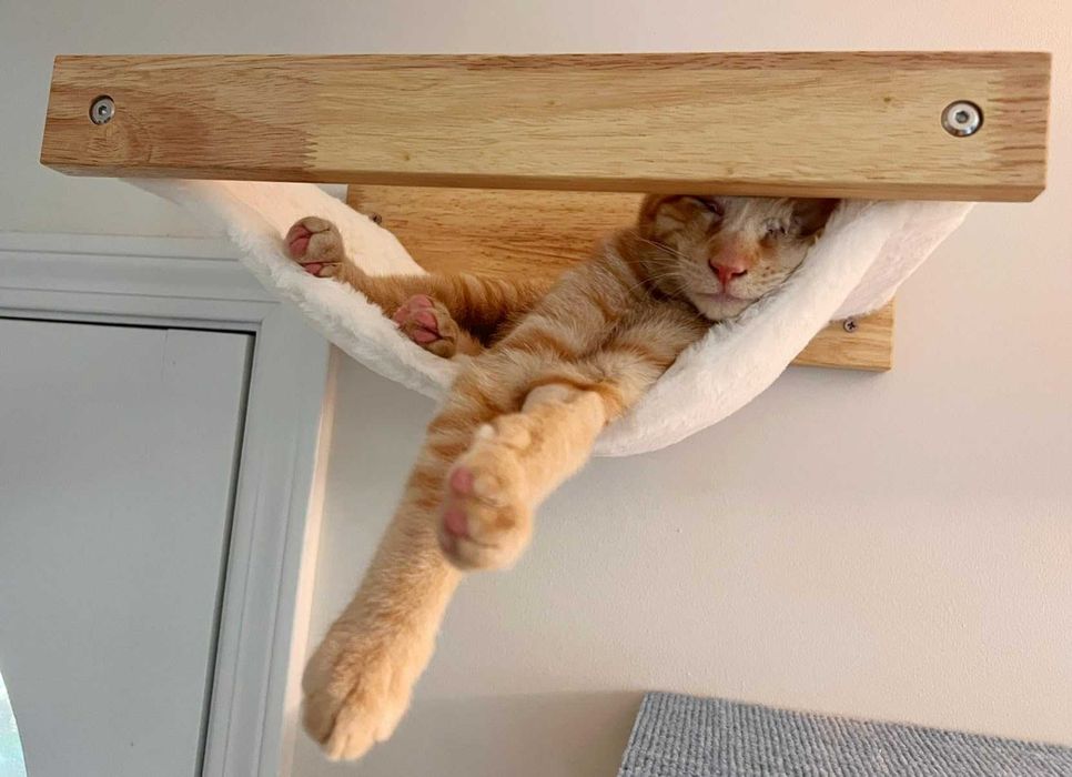 Legowisko hamak dla kota ścienna półka wspinaczka