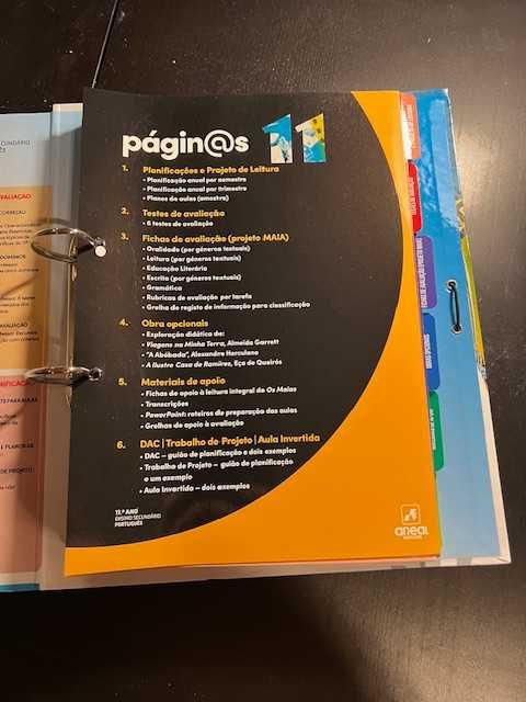 "Páginas 11" - 11º ano - Português -  Projeto PROFESSOR