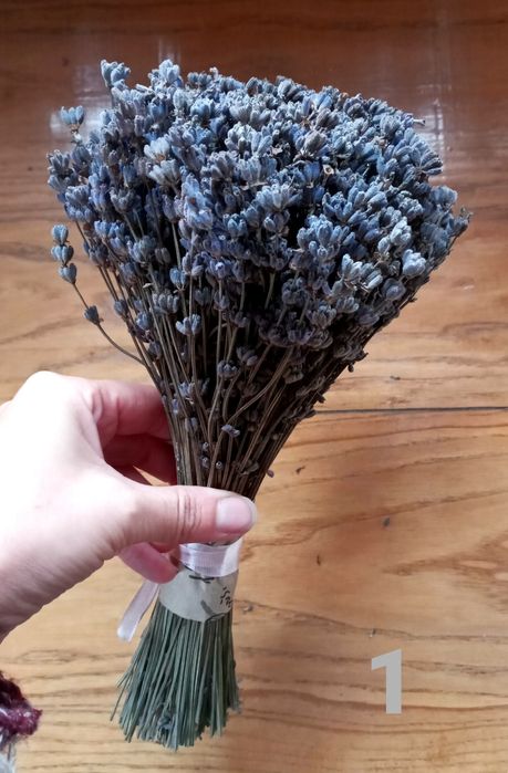Лаванда, букет лаванди сухий