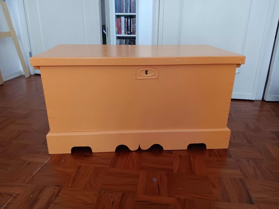 arca pintada laranja