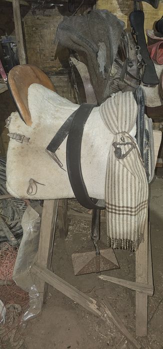 Sela a espanhola