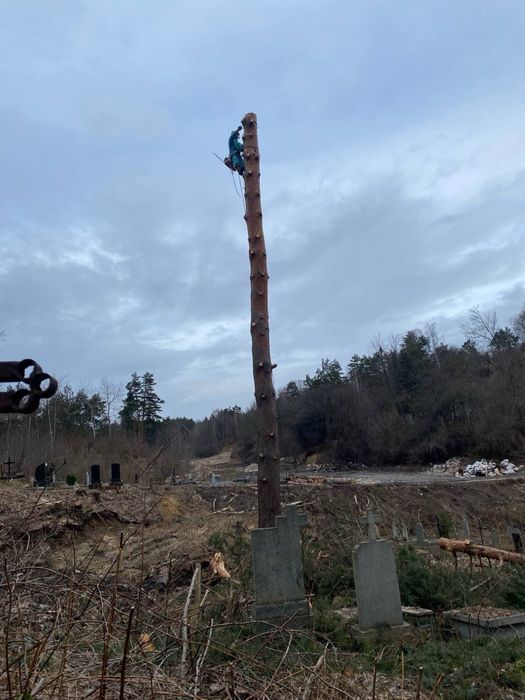 Зрізання та обрізка дерев,зрізка аварійних,заввиших дерев,