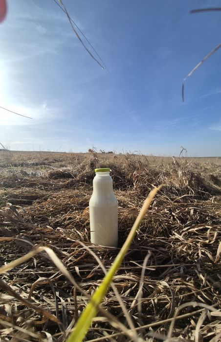 Mleko kozie sery serwatka masło