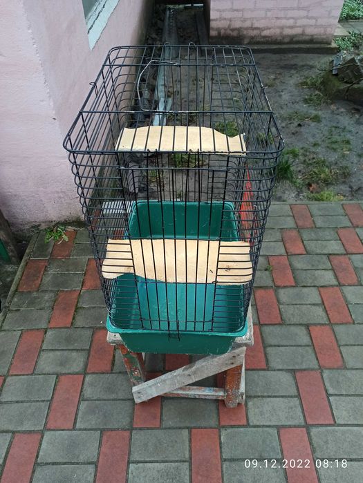 Клітка для гризунів