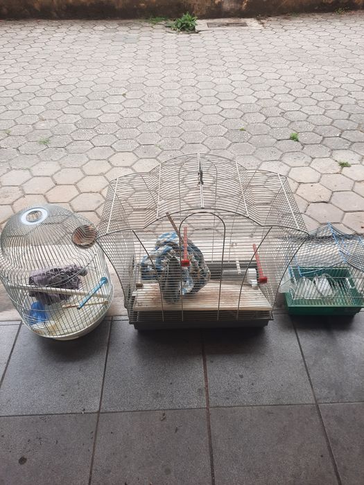 Gaiolas para passaros