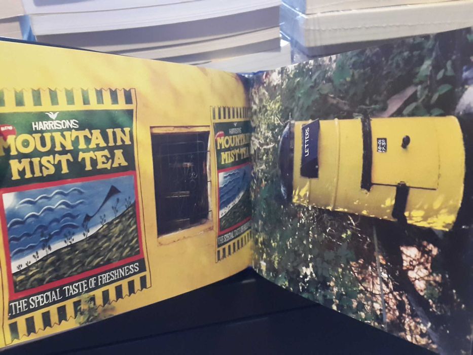 Maria José Palla - Paredes de Pangim - Velha Goa