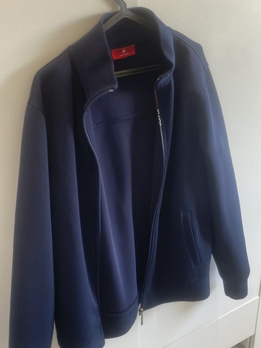 Casaco Lion of Porches