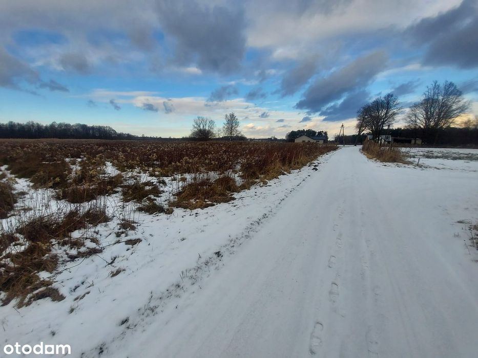 Działka 11,30 ar. - Laskowice - adaptacja + kierownik - Plan Ogólny