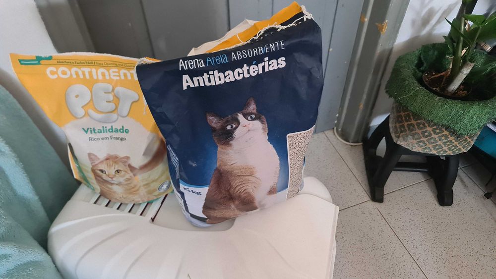 Kit Completo Gato 2 Caixas WC Acessorios Comida e Areia