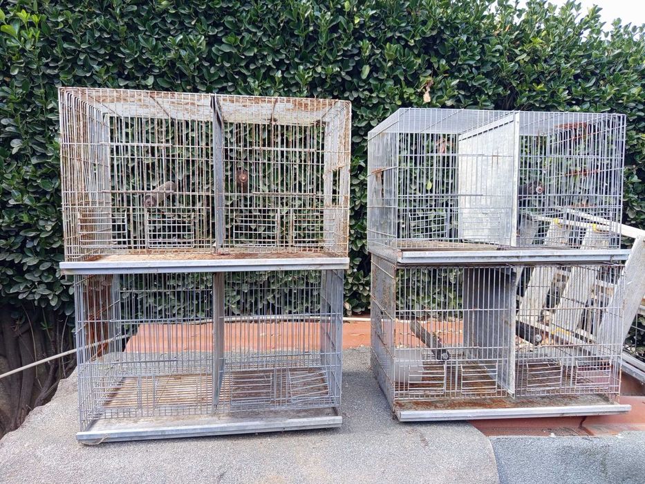 Oito Gaiolas Pássaros medidas pode observar nas fotos