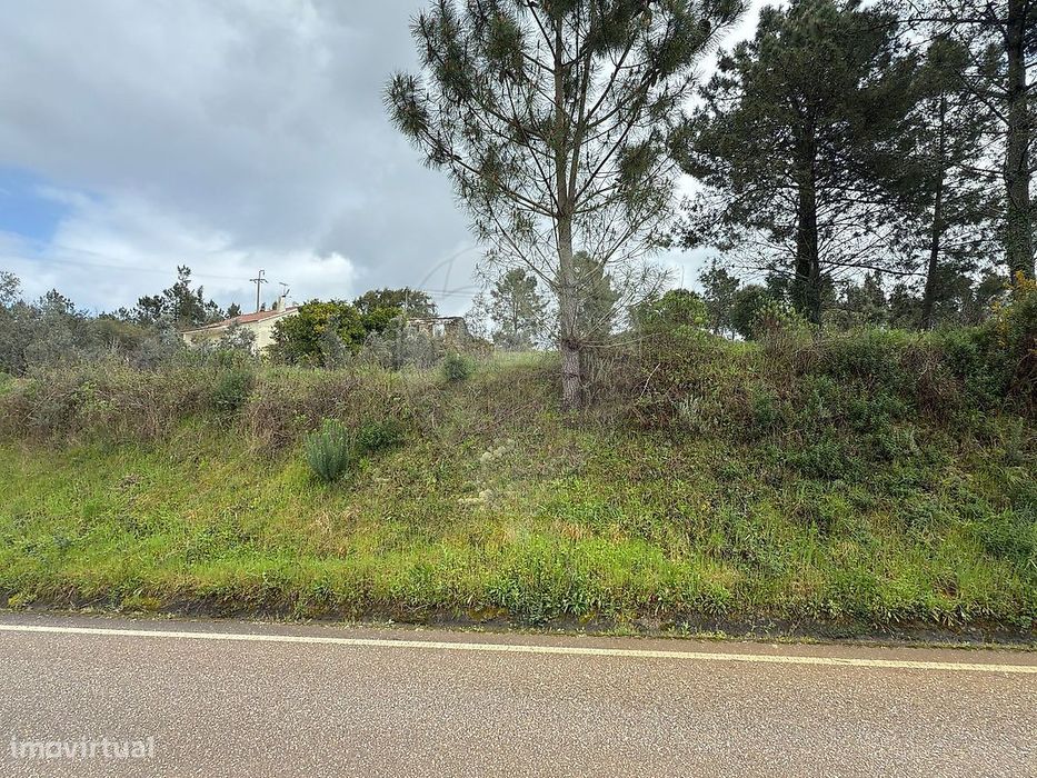 Terreno  para venda — Olalhas, Santarém