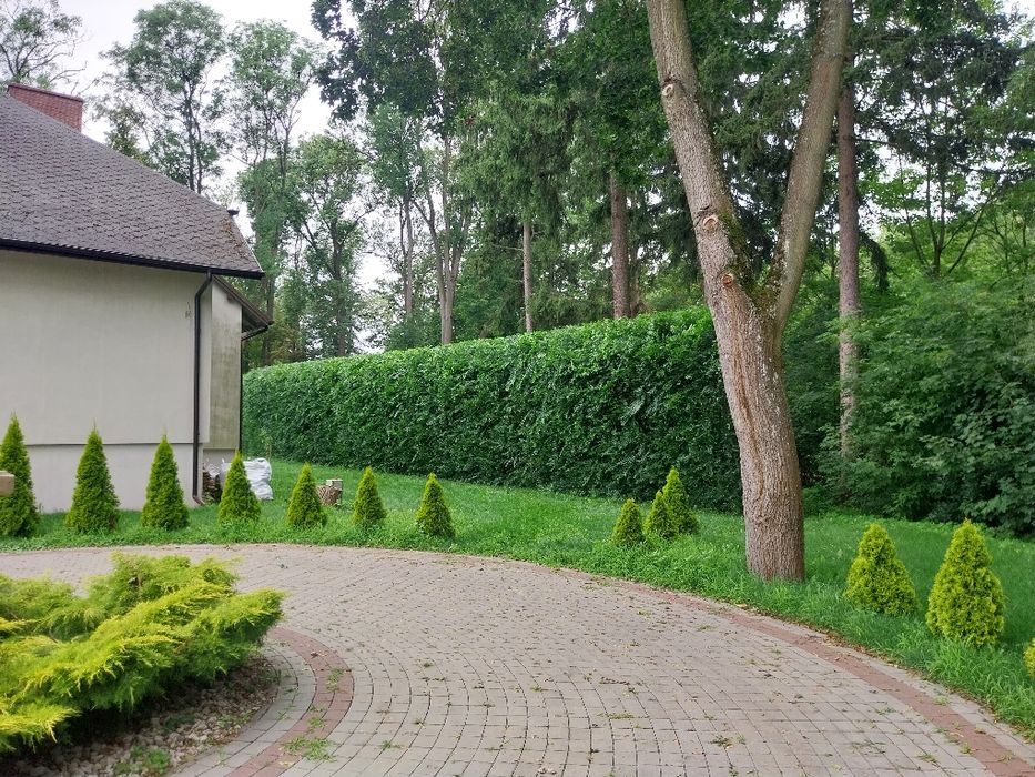 Usługi ogrodnicze