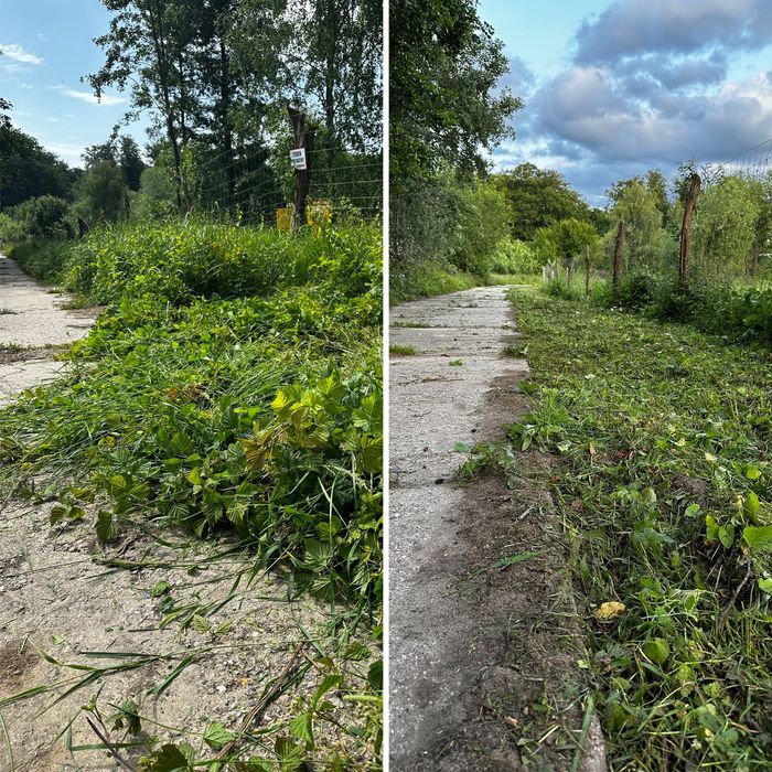 Koszenie trawy, usługi ogrodnicze