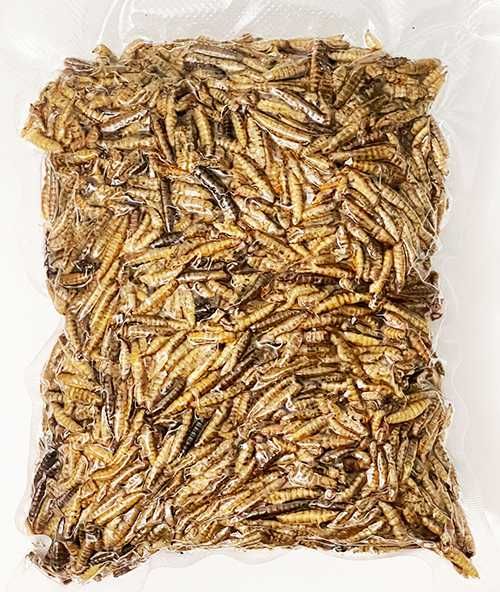 Balmax, Suszone larwy Hermetii / Black soldier fly larvae / 500g.