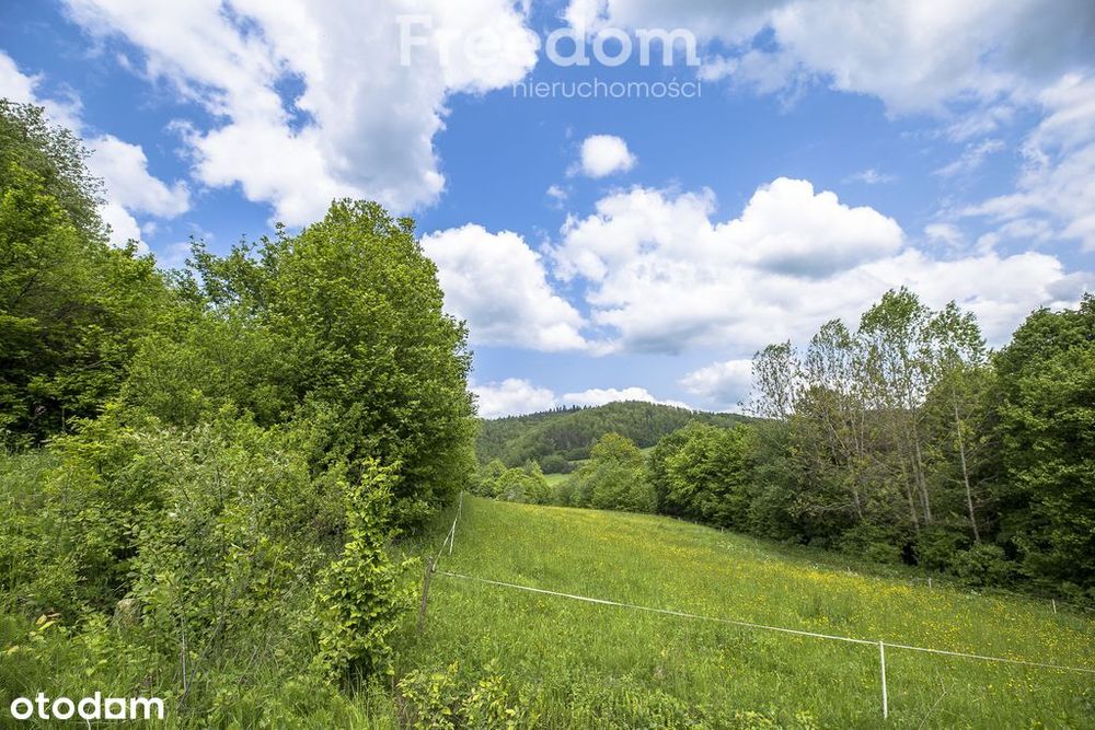 Działka na stoku, Mchawa, Bieszczady - Więcej