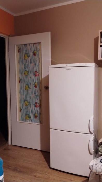 Lodówka Amica ACZ3101