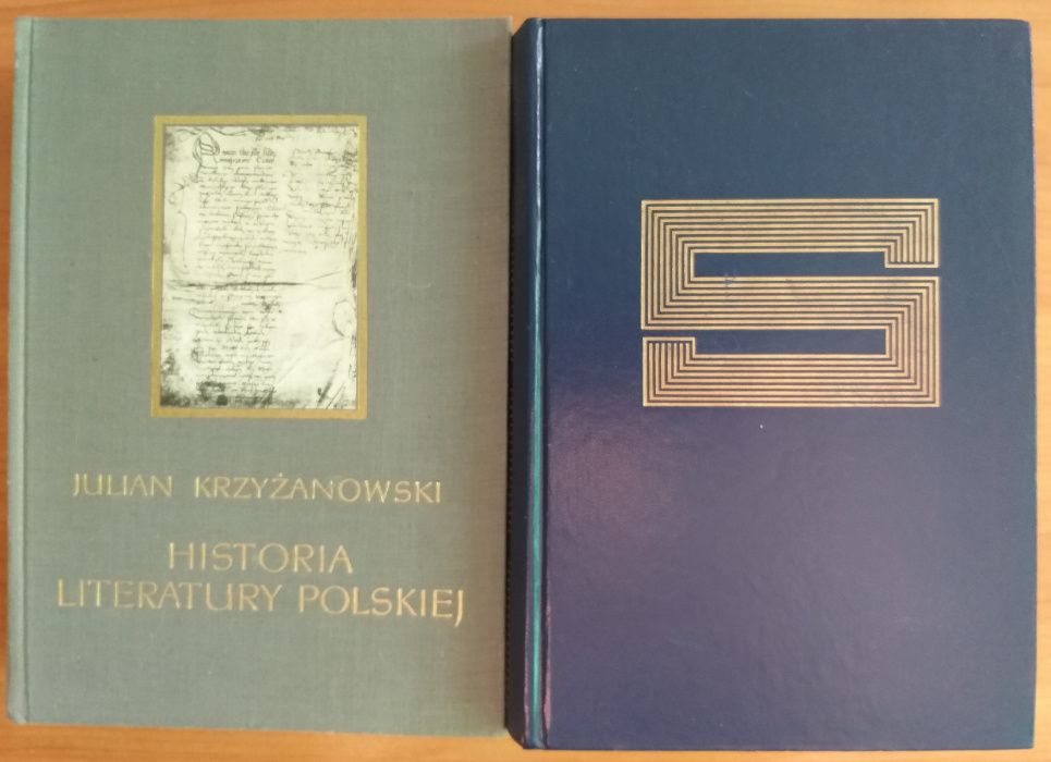 Julian Krzyżanowski - Historia literatury polskiej i słowniki